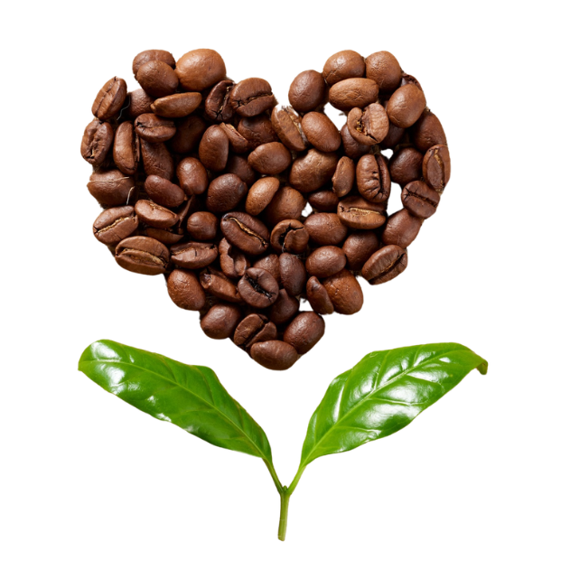 Grounds for Restoration Coffee 2